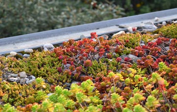 the cost of Balbeg green roof installation