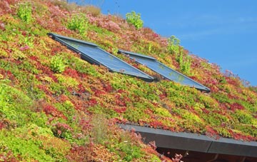Balbeg living roof systems